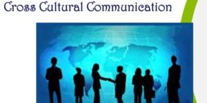 Кросс-культурные коммуникации в экономике и политике